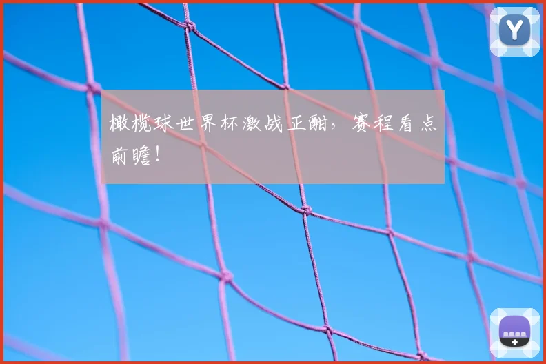 橄榄球世界杯激战正酣，赛程看点前瞻！