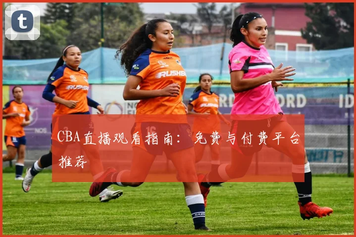 CBA直播观看指南:免费与付费平台推荐